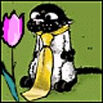 d-tulip.jpg