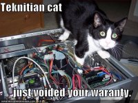 funny-pictures-never-trust-a-feline-technician.jpg