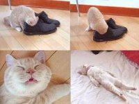 feet stink2.jpg
