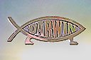 Darwin-fish..jpg