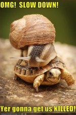 snail-and-turtle.jpg