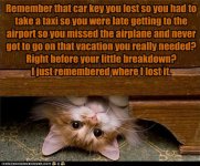 cat-lost-your-key.jpg