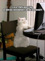 funny-pictures-cat-realizes-he-can-buy-cheeseburgers-on-the-internet.jpg