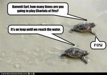 turtle-race.jpg