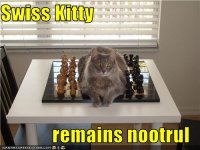 funny-pictures-cat-is-neutral.jpg