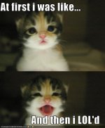 funny-pictures-cat-loled.jpg