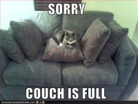 funny-pictures-couch-is-full.jpg