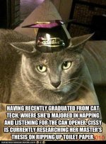 funny-pictures-cat-is-graduate.jpg