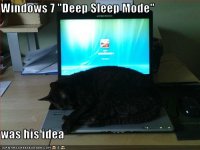 funny-pictures-cat-sleeps.jpg