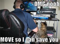 funny-pictures-cat-helps-you-play.jpg