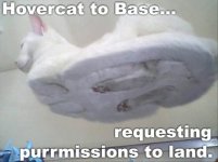 lolcatsdotcomoh5o6d9hdjcawys6.jpg