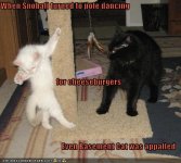 funny-pictures-cat-dances-for-cheeseburgers.jpg