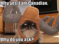 funny-pictures-cat-is-canadian.jpg