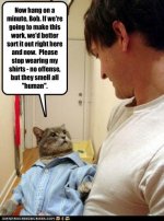 funny-pictures-cat-in-shirt-is-upset.jpg