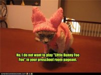 funny-pictures-cat-wears-bunny-costume.jpg