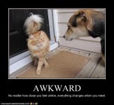 funny-pictures-cat-and-dog-have-awkward-meeting.jpg