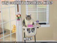 funny-pictures-cat-wishes-you-had-kids.resized.jpg
