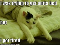 funny-pictures-cat-is-tired.jpg