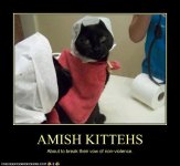 funny-pictures-cat-is-amish.jpg