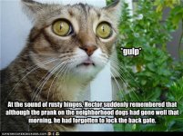 funny-pictures-cat-did-not-lock-gate1.jpg