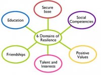 Resilience-6domains.jpg