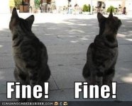 funny-pictures-cats-ignore-eachother.jpg