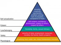 800px-Maslow's_Hierarchy_of_Needs_svg.jpg