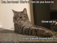 funny-pictures-your-cat-is-in-a-bar-ordering-drinks.jpg