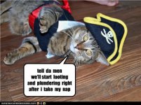 ec5c9_funny-pictures-cat-is-pirate.jpg