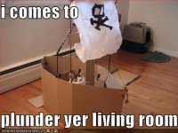 funny-pictures-cat-comes-to-plunder-your-living-room.jpg