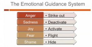 Emotional Guidance System.jpg
