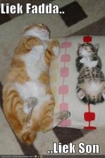 funny-pictures-like-father-like-son-cats.jpg