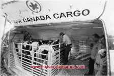 air-cargo-airmail-image-261.jpg