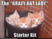 Krazy Kat Lady.jpg