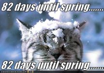 funny-pictures-cat-snow-spring1.jpg