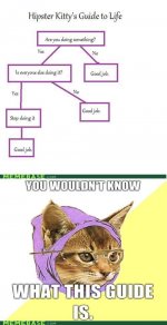 memes-hipster-kittys-guide-to-life.jpg