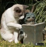 readingFJTC.jpg