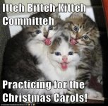 itteh-bitteh-kitteh-committeh-practicing-for-the-christmas-carols.jpg