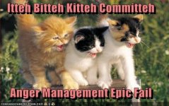 itteh-bitteh-kitteh-committeh-anger-management-epic-fail.jpg