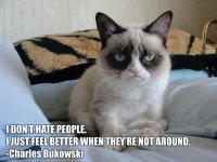 grumpy-cat2.jpg