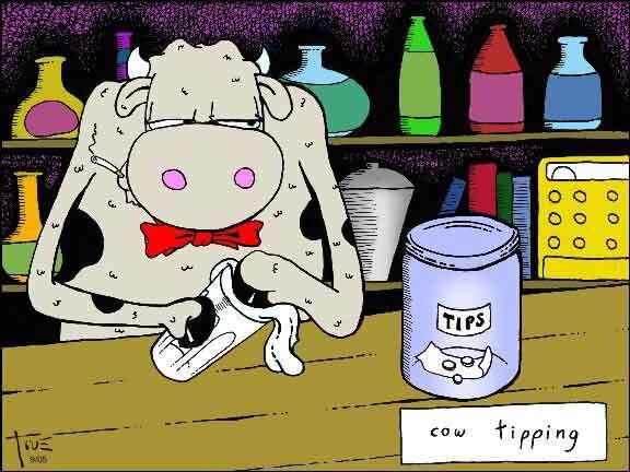 cow_tipping-1.jpg