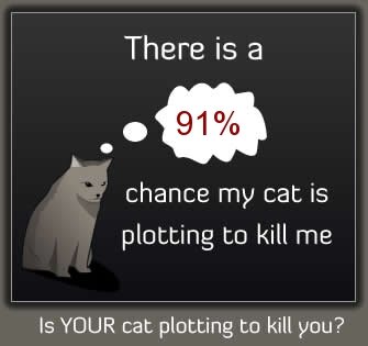 catplotting-1.jpg