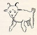 sheep2-1.jpg