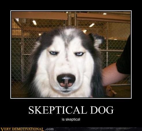 demotivationalpostersskepticaldog-1.jpg