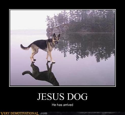 demotivationalpostersjesusdog-1.jpg