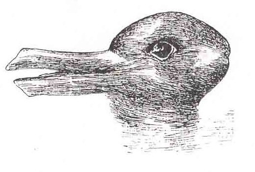 DuckRabbit_illusion-1.jpg