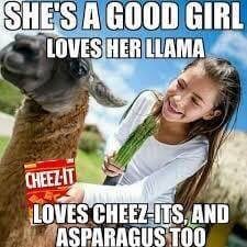 99588cd11e36a75df84393e7d4eacb11-1.jpg