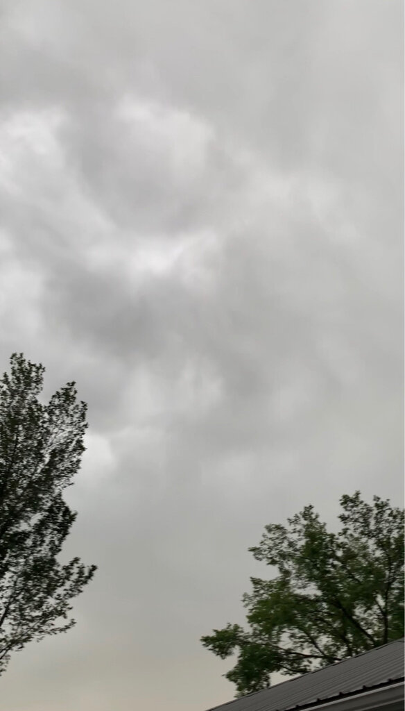 4a0cf62d68e55660e789c9834372575c-1.jpg