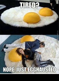pe-just-ecchausted-what-an-eggcellent-find-9322950.png