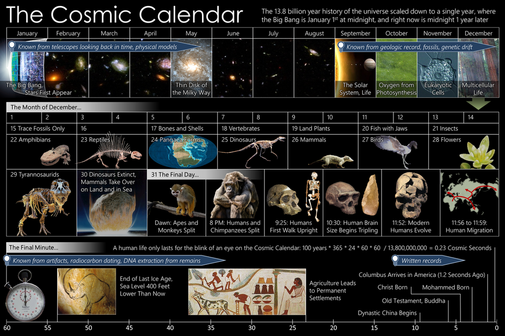 1280px-Cosmic_Calendar.png